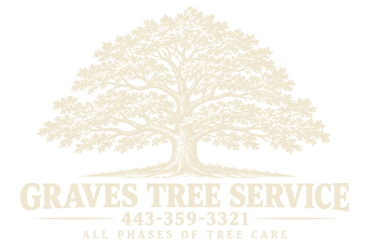 Graves Tree Service logo: a large oak tree above the words Graves Tree Service, 443-359-3321, All Phases of Tree Care